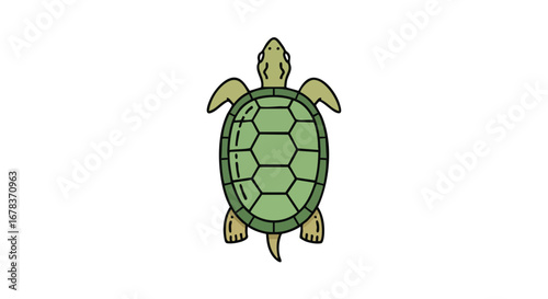 Cartoon illustration of a sea turtle swimming gracefully in the ocean with unique shell pattern and flippers in a simple line drawing style
