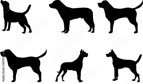 Dog vector, Dog png