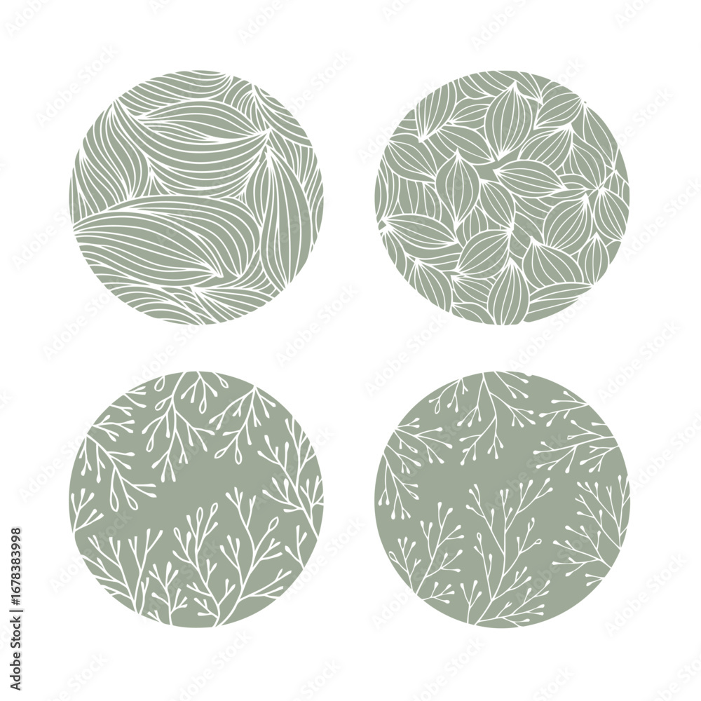 Obraz premium Set of 4 sage green leaf pattern circles vector