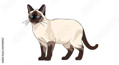 Elegant Siamese Cat Illustration: A Detailed Portrait of a Beloved Feline Friend Depicted with Sharp Lines