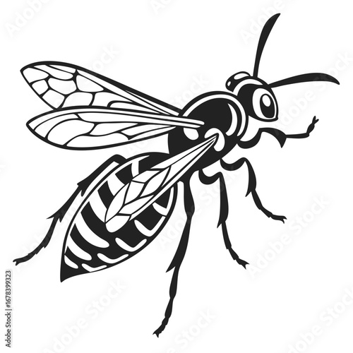 Monochrome Wasp Illustration Showing Detailed Wing Venation and Segmented Abdomen in a Bold Graphic Style Drawing Attention to the Insect