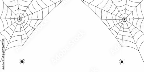 Two spooky spiderwebs with dangling spiders on a white background
