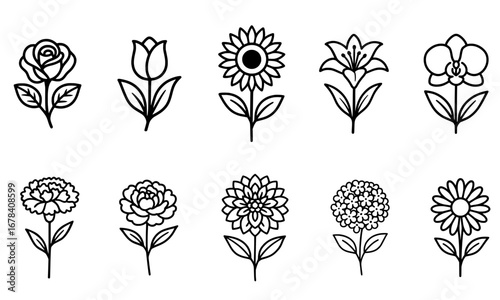 Vector Art Collection of Popular Flowers: Rose, Tulip, Sunflower, Lily, Orchid, Carnation, Peony, Dahlia, Daisy, and Hydrangea