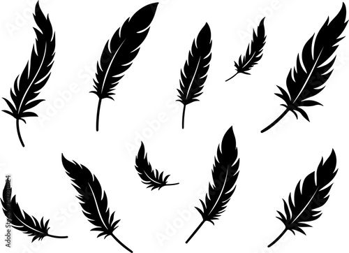 feathers vector illustration, feather, bird, vector, pen, quill, illustration, set, icon, plume, silhouette, pattern, wing, symbol, art, light, drawing, ink, design, fluffy, nature, writing, soft, obj