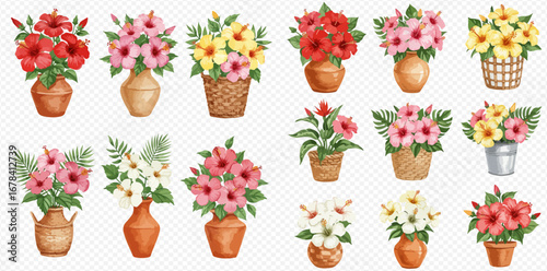 A collection of colorful watercolor hibiscus flower arrangements in various pots, vases, and baskets.