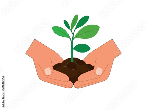 Vector art of hands holding a young green plant seedling
