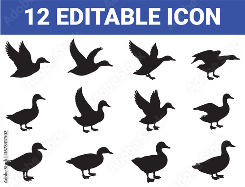 Duck Silhouette Icon Set – Minimalist Wildlife Vector Collection for Nature, Birdwatching, and Educational Design