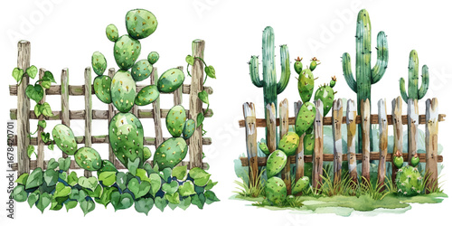 garden fence with cactus watercolor vector illustration