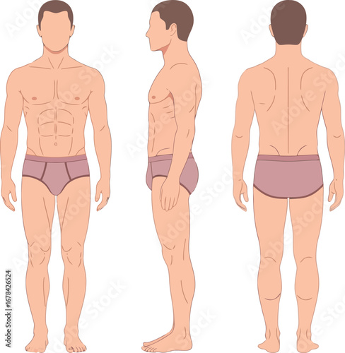 Male human body anatomy full front side back view vector illustration isolated graphics vector