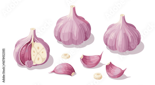Realistic garlic bulbs and cloves on white background