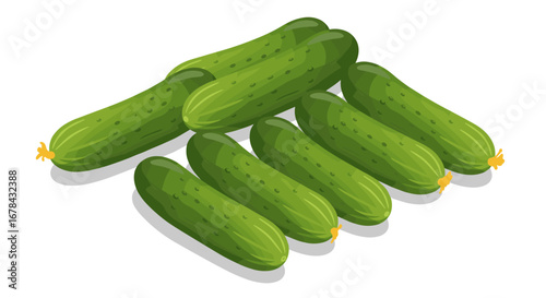 Fresh green cucumbers in isometric style on white background