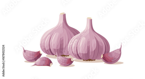 Realistic illustration of whole and clove garlic on white background