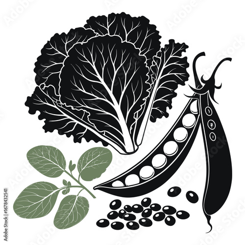 Fresh garden vegetables silhouette featuring lettuce peas and herbs