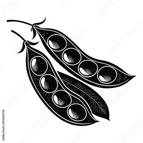 Two open pea pods revealing round peas in a black and white silhouette