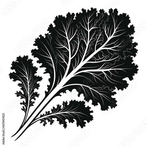 Detailed black silhouette of a fresh kale leaf cluster