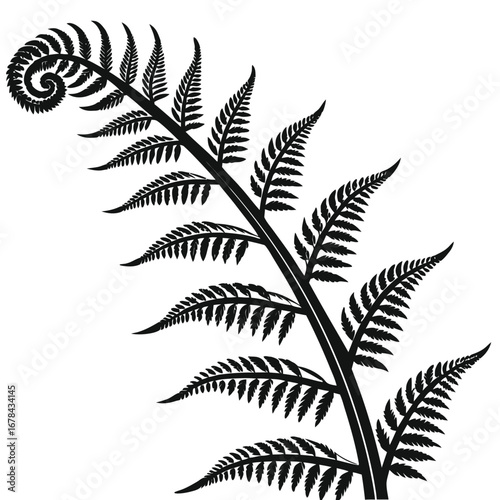 Unfurling fern frond silhouette with detailed leaf structure