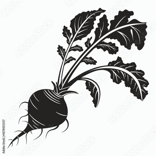 Black and white silhouette of a fresh beet with green leaves and roots