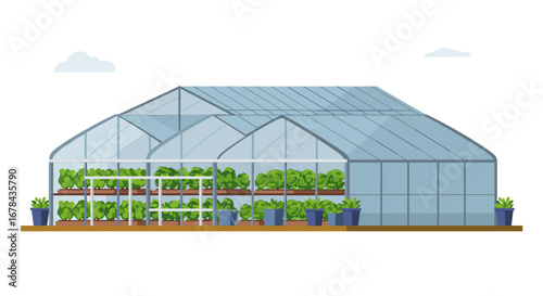 Modern greenhouse with lush plants and transparent roof design