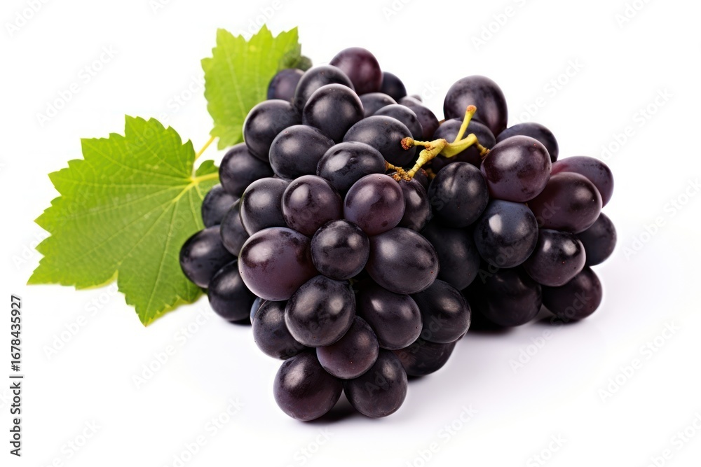 Fototapeta premium Black grapes fruit berry plant.