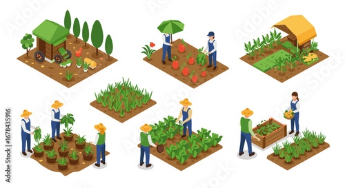 Isometric urban farming scenes with farmers working in various garden setups