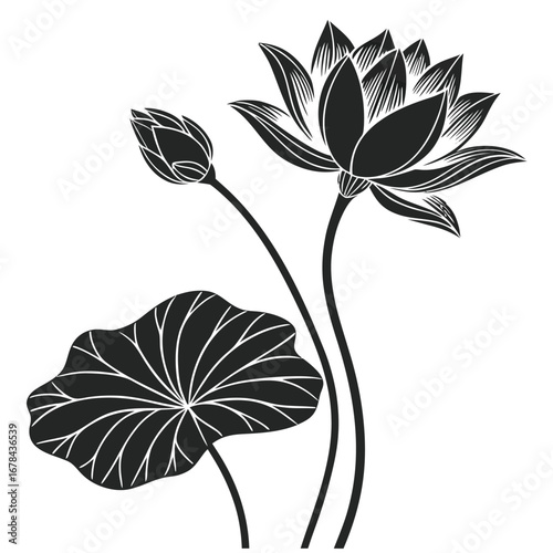 Elegant black silhouette of a blooming lotus flower and bud with leaf