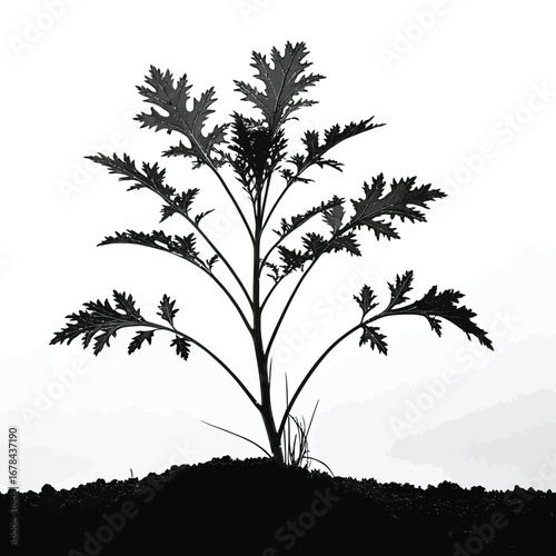 A delicate plant s silhouette stands tall against a bright sky silhouette