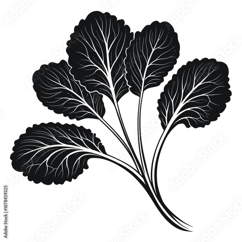 Dark silhouette of a bunch of fresh green kale leaves