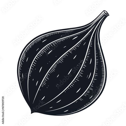 Hand drawn fig fruit silhouette with detailed texture