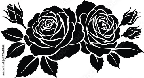 Elegant silhouette roses floral design vector illustration romantic bloom botanical art vector