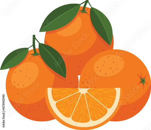 Fresh oranges healthy fruit citrus food juicy natural vitamin c vector