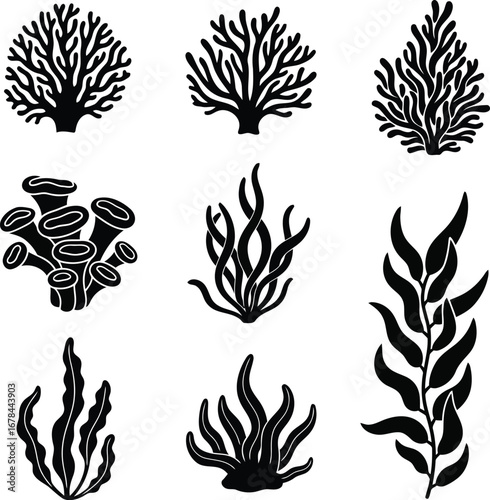 Collection sea plants silhouette marine underwater flora aquatic botanical nature design elements vector