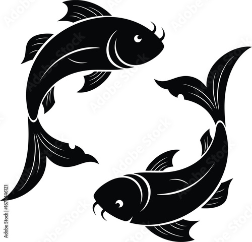 Pisces zodiac symbol intertwined with two carp fish illustration vector