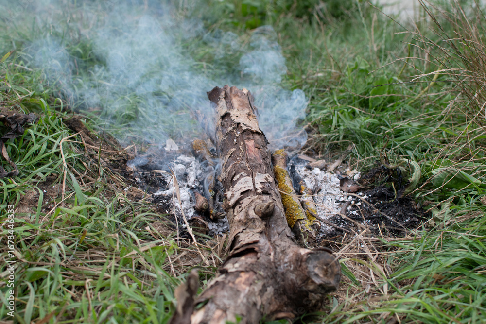 Obraz premium Bonfire with burning firewood