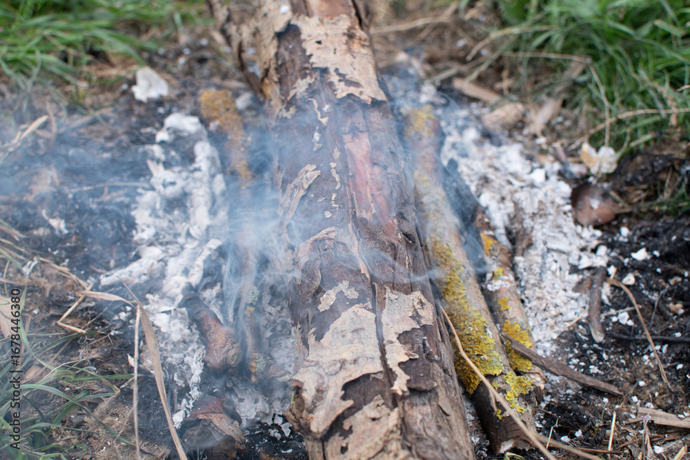 Fototapeta premium Bonfire with burning firewood