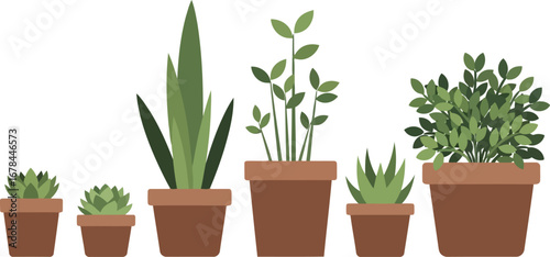 Collection potted houseplants indoor plants botanic garden foliage home decor nature green vector