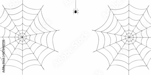 Spooky halloween scene with two detailed spiderwebs and a single spider hanging in the middle