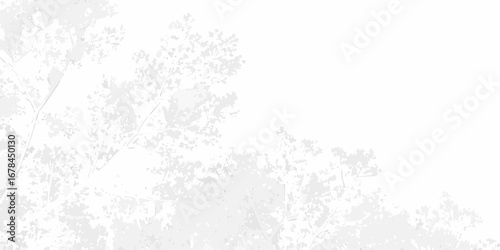 Delicate white tree branches and leaves against a bright white background