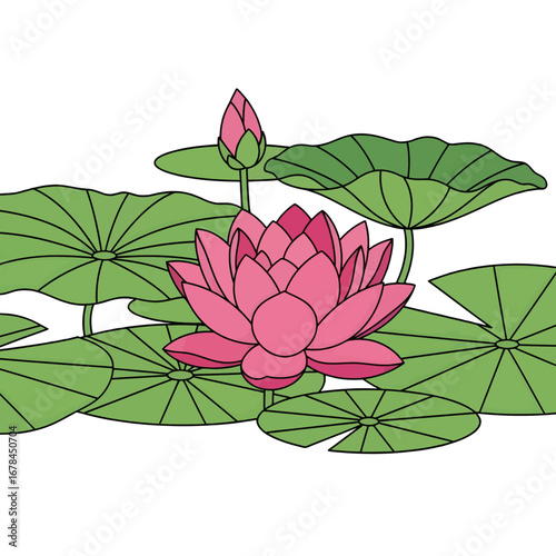 Pink Lotus Blossom with Green Lily Pads and Bud in a Still Water Garden Setting in a Flat Vector Illustration