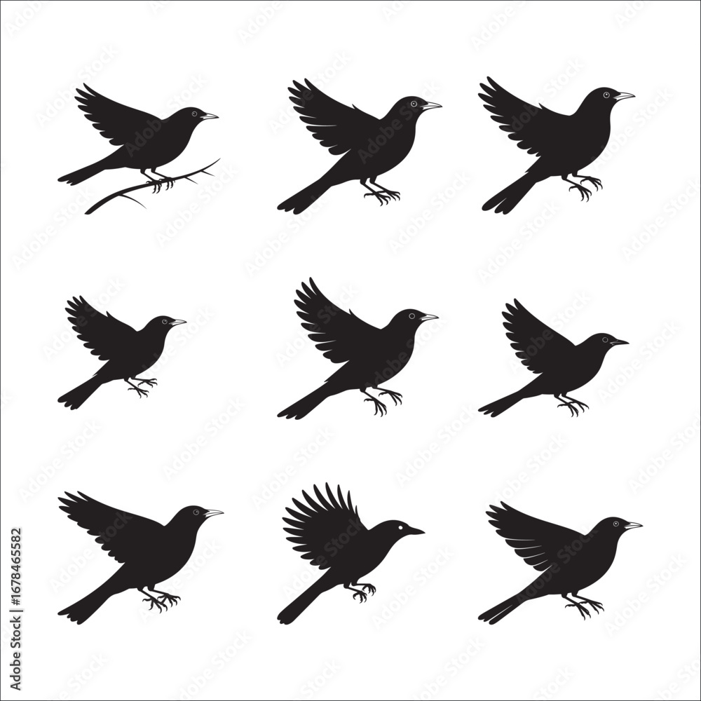 Fototapeta premium A set of flying bird silhouettes, including eagles, doves, and hawks, is a beautiful vector illustration of nature's freedom and wildlife