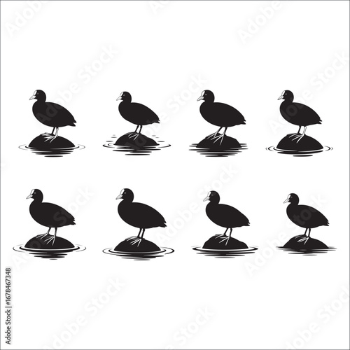 A cartoon illustration of a cute wild mallard duck and its ducklings, a silhouette of a duck and its baby birds with geese in nature