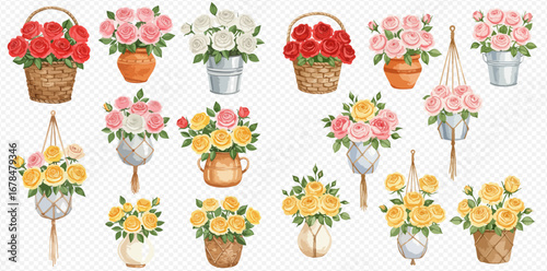 A beautiful collection of watercolor rose bouquets in various pots, baskets, and hanging planters.