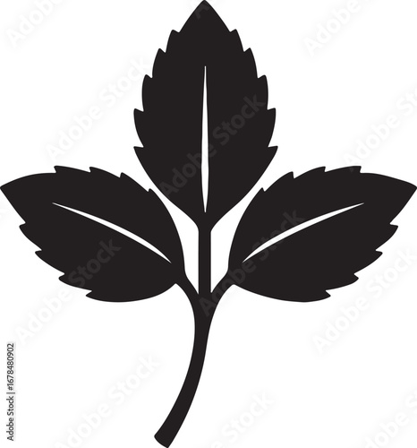 Mint leaf silhouette vector illustration, herbal foliage design perfect for natural logo, icon, and decoration.