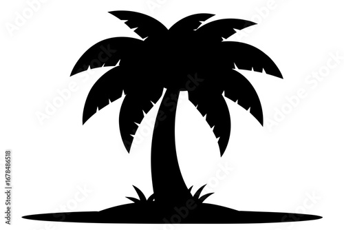 palm tree silhouette