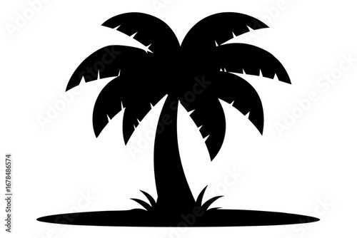 palm tree silhouette