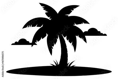 palm tree silhouette