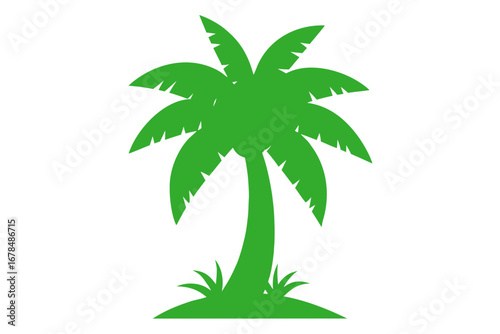 palm tree vector illustration