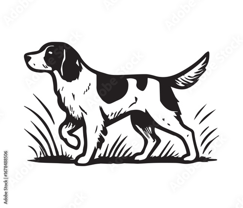 spaniel dog vector illustration, black and white spaniel dog graphic design