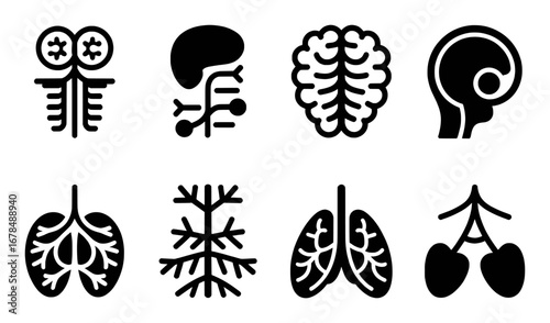 Collection of Black and White Icons Representing Human Organs and Nervous System