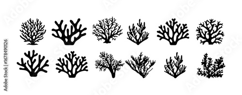 Collection of Black Silhouette Coral Illustrations on White Background