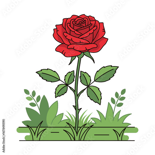 Red Rose Blossom with Green Leaves and Grass Botanical Illustration on a White Background